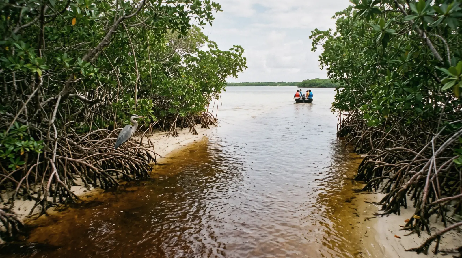 Mangrove channel opening into the lagoon in the Sian Ka'an reserve near Tulum, Tulum Mexico