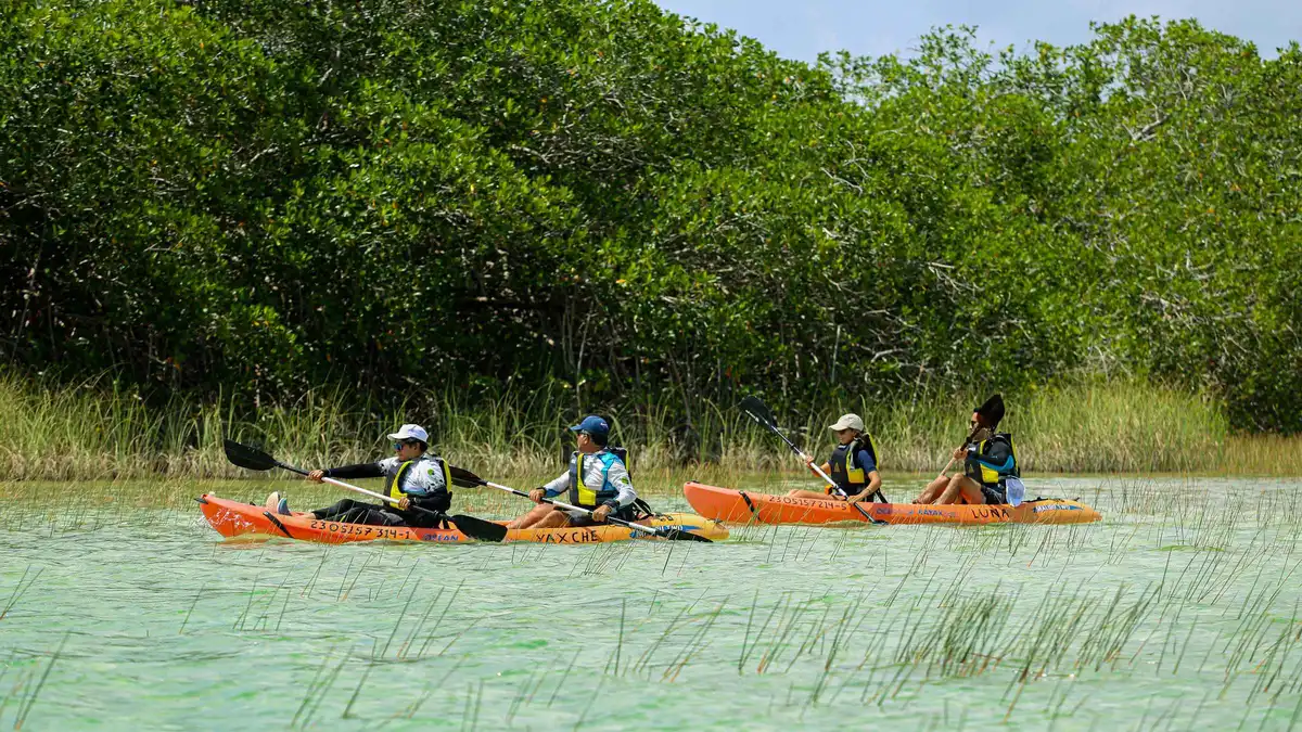 Kayaks on the lagoon channel in the Sian Ka'an biosphere reserve, Tulum Mexico
