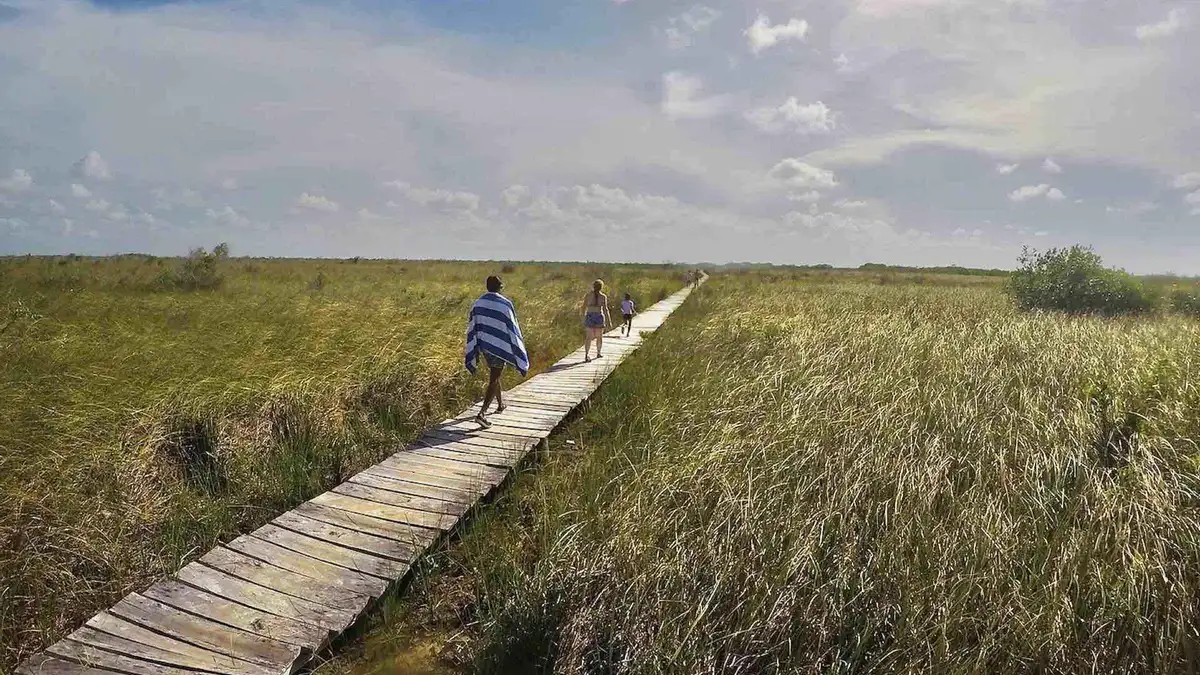 Boardwalk through the marsh toward the Sian Ka'an lagoon behind the Muyil ruins, Tulum Mexico