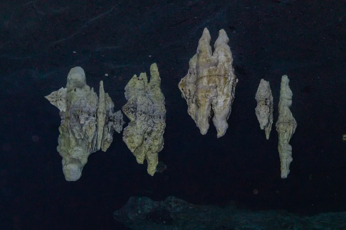 Stalactites over still water inside Cenote Dos Ojos, the cavern system north of Tulum, Mexico